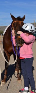 20130404_Horse-hug1