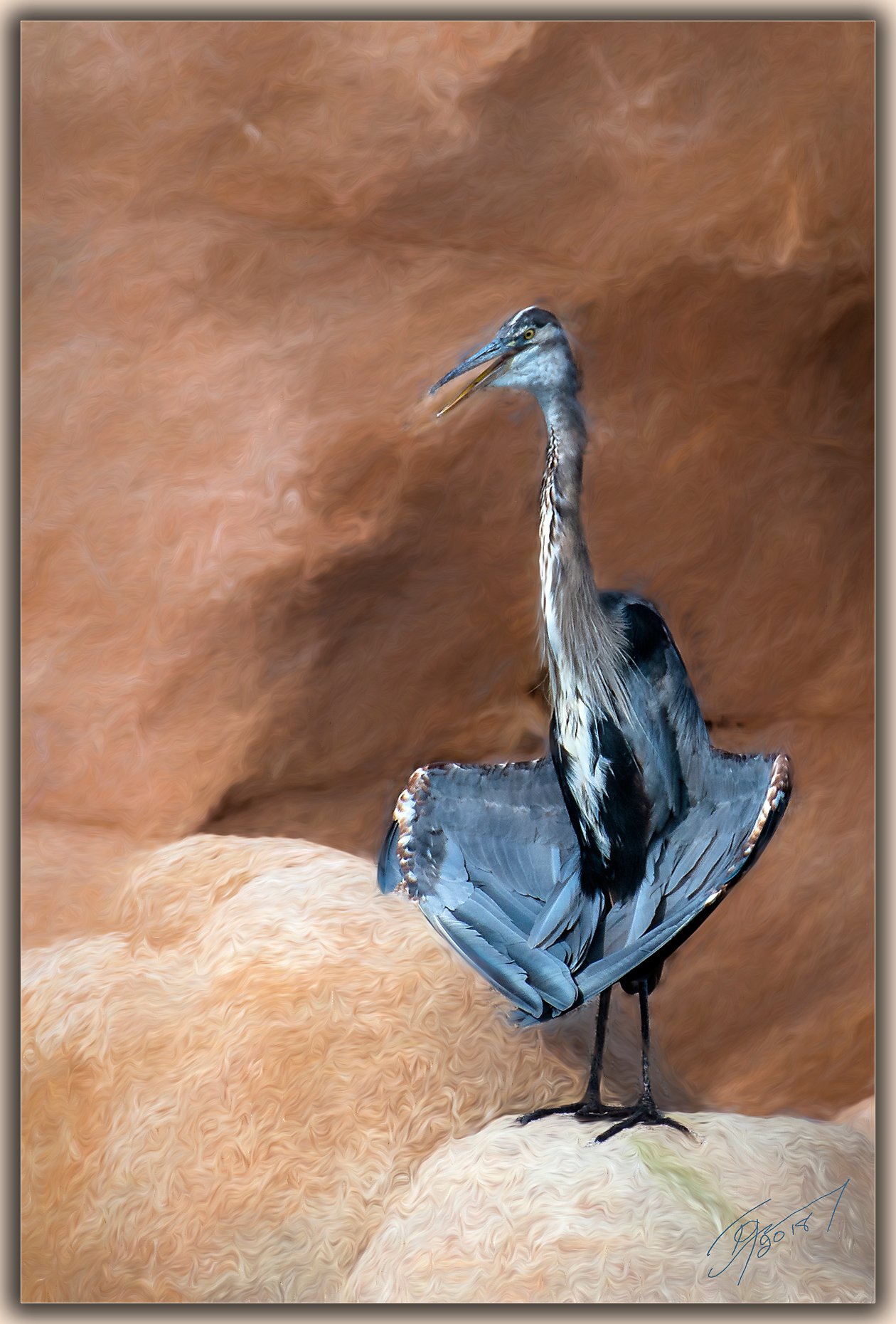 Today s Photo From Ted Grussing Photography And Sedona Biz The Internet Voice Of Sedona And 
